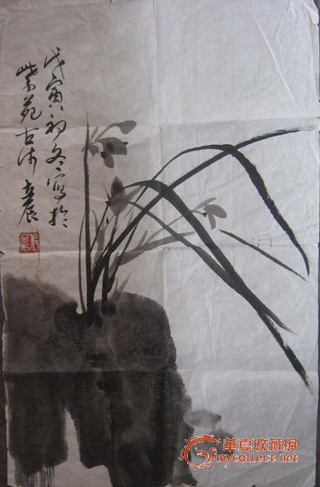 兰花--张立辰