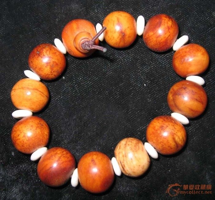 血料虎骨手串图片,虎骨手串图片,满虎骨图片_大山谷图库