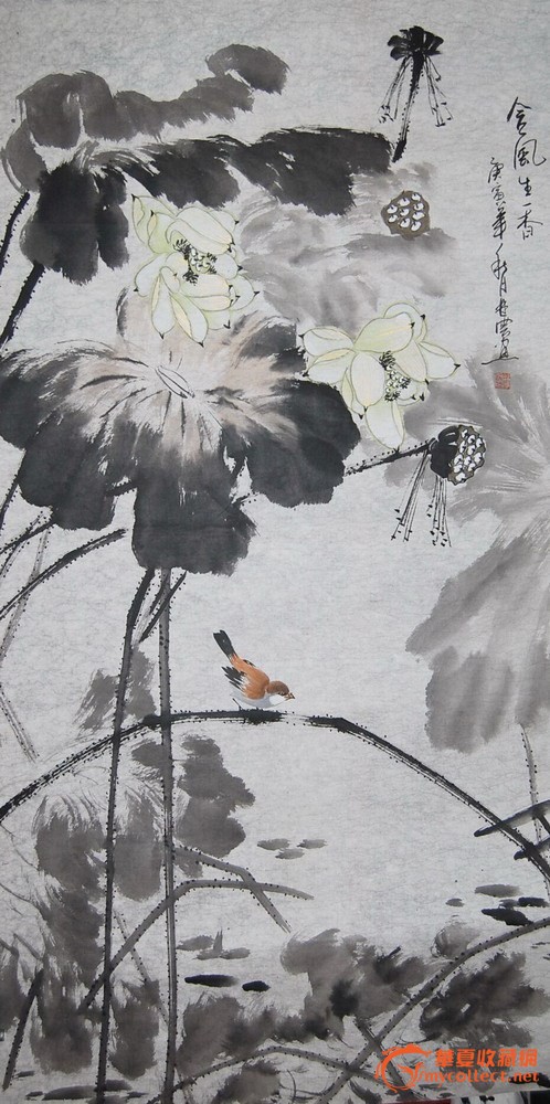国画荷花图片大全大图