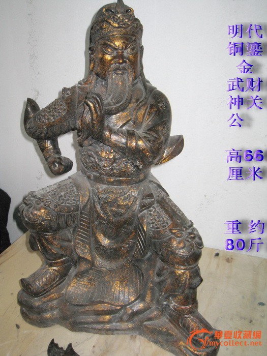 青口贝的内脏图高清图片
