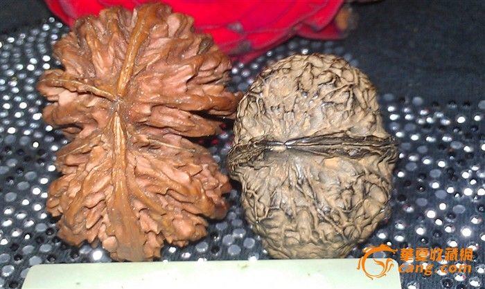 畸形核桃(45mm左右)落地黑(30mm左右)_在线