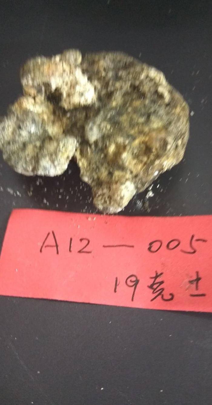 龙涎香图4