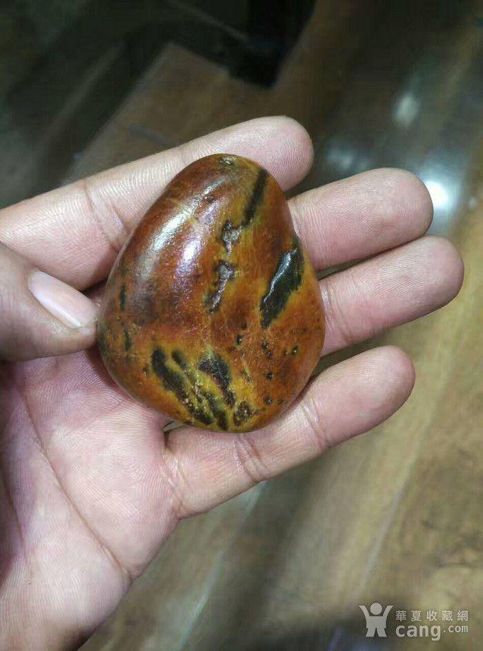 饱满的沁籽图2