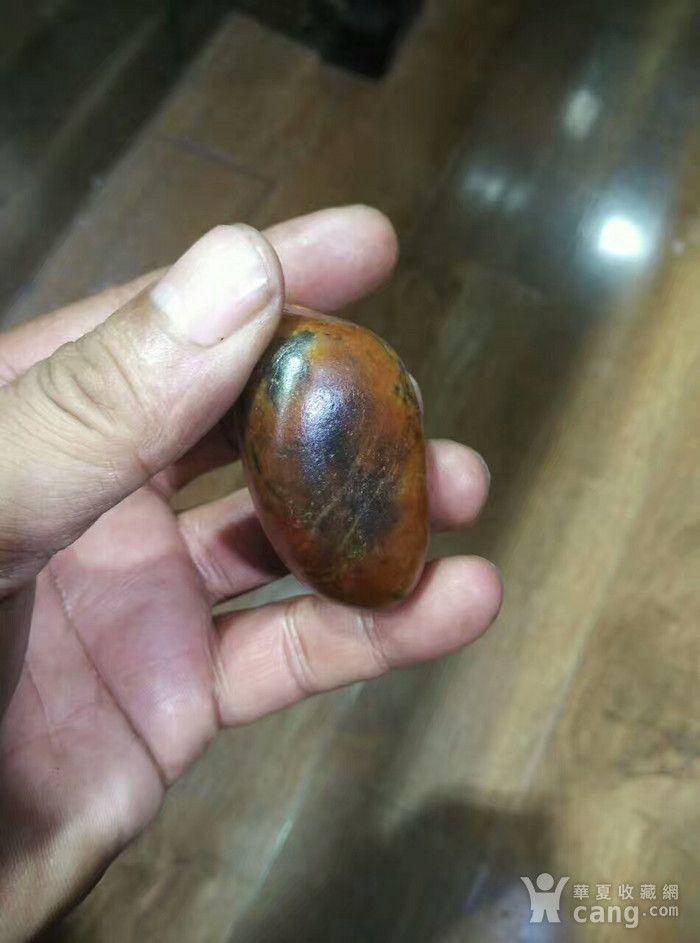 饱满的沁籽图4