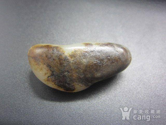 14.8克 新疆和田万年老黑皮籽料图6