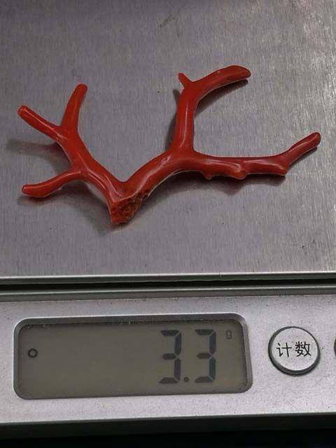 天然日本阿卡珊瑚随形枝A13图12