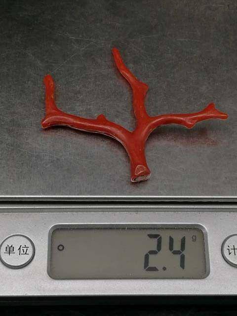 天然日本阿卡珊瑚随形枝H16图12