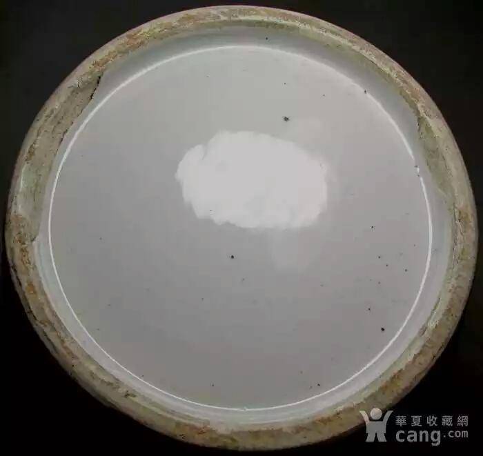 清末民国富贵白头嫁装瓶一对图12