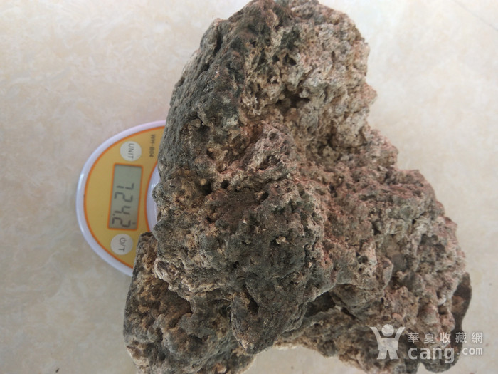 金牌龙涎香