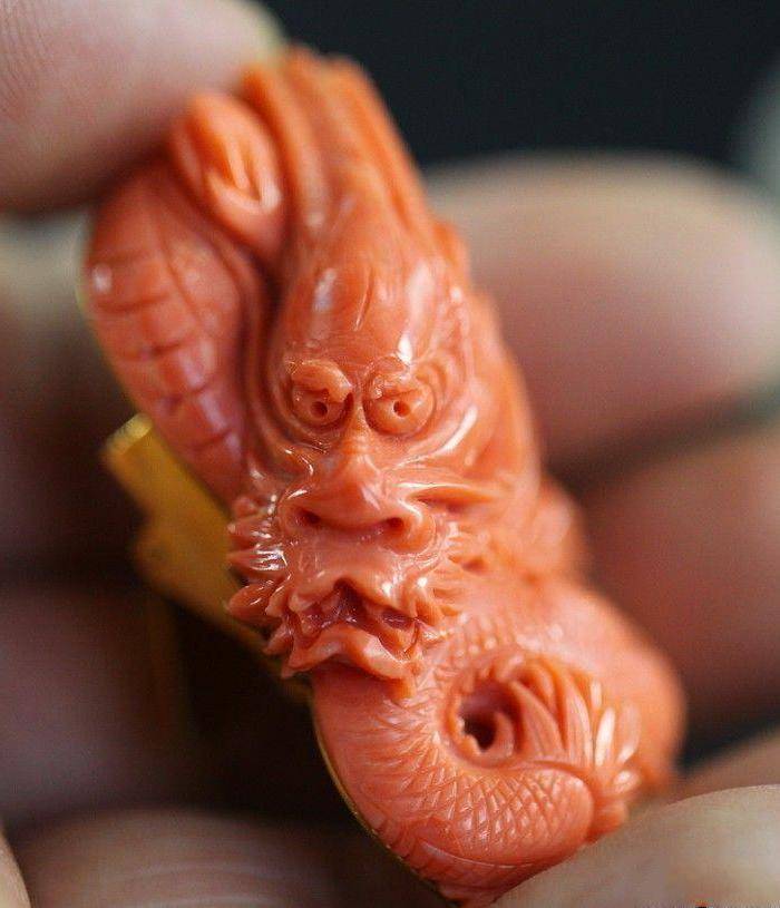 回流, 珊瑚大龙 压轴图5