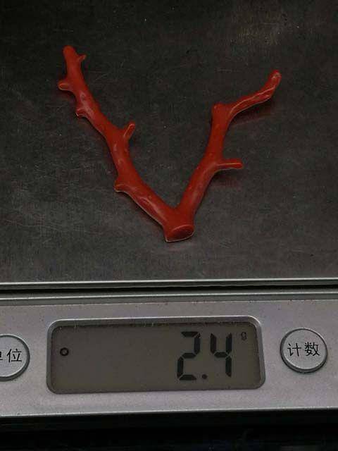 天然日本阿卡shanhu随形枝4图12
