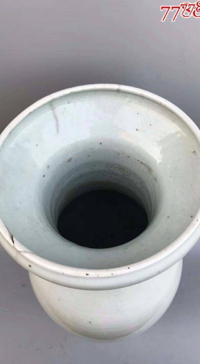 大清光绪青花双凤戏牡丹大花瓶一件图5