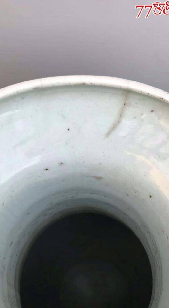 大清光绪青花双凤戏牡丹大花瓶一件图6