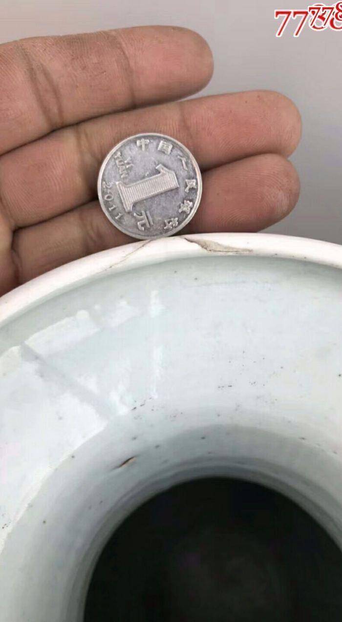 大清光绪青花双凤戏牡丹大花瓶一件图8