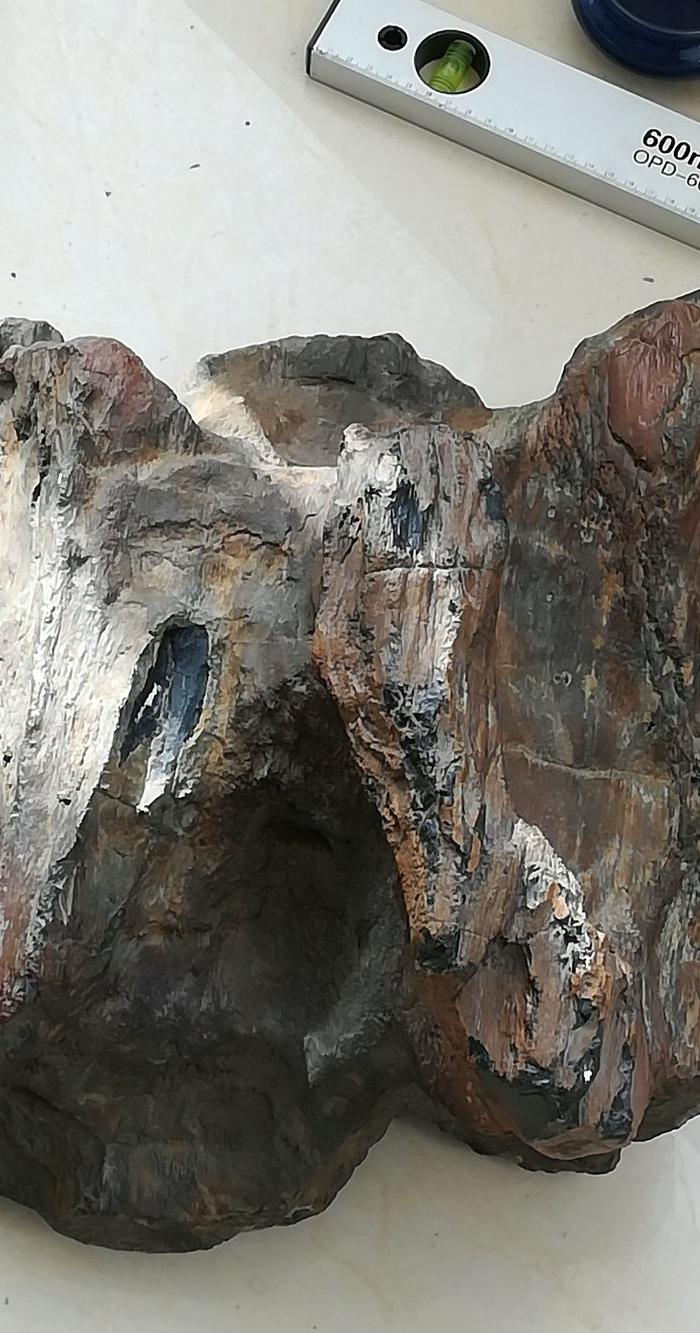 树化石,居家镇宅,道家木生金理念的完美体现和