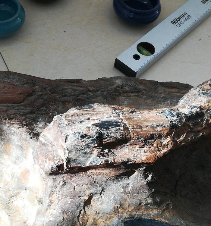 树化石,居家镇宅,道家木生金理念的完美体现和