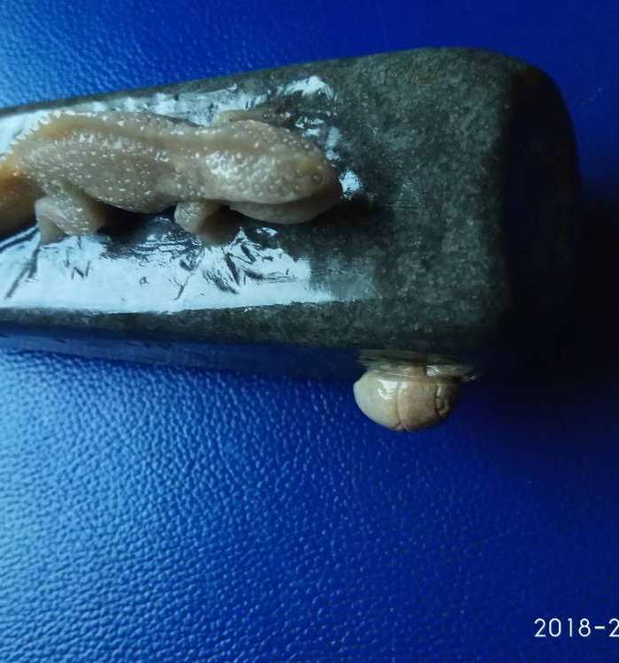 趣味寿山石大摆件图4