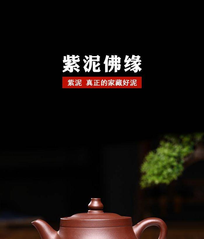 紫砂壶 佛缘壶图2