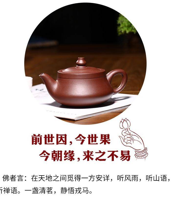 紫砂壶 佛缘壶图10