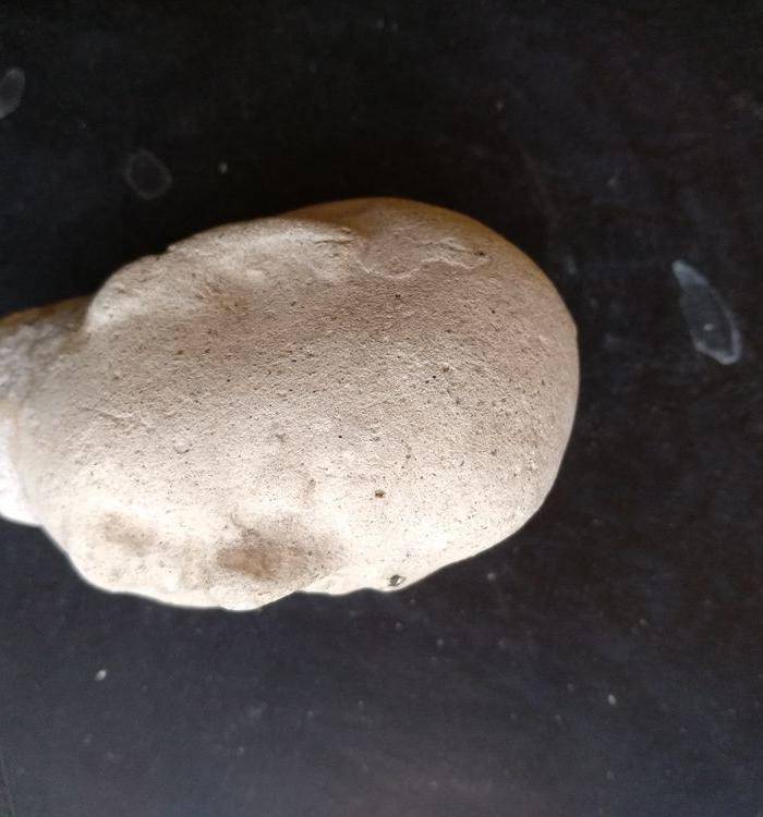 明早,陶胎佛头,高7Cm。图5