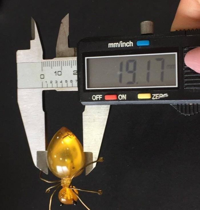 8035欧洲回流金珀蜘蛛胸针一枚图9