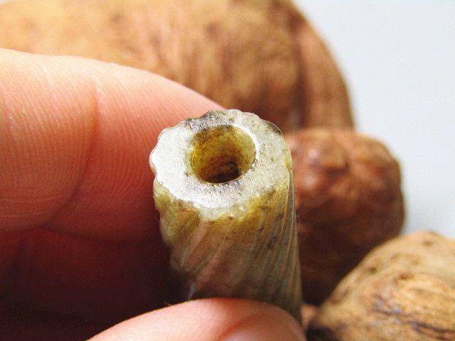 明 和田玉 绳纹 勒子包浆熟润醇厚图6