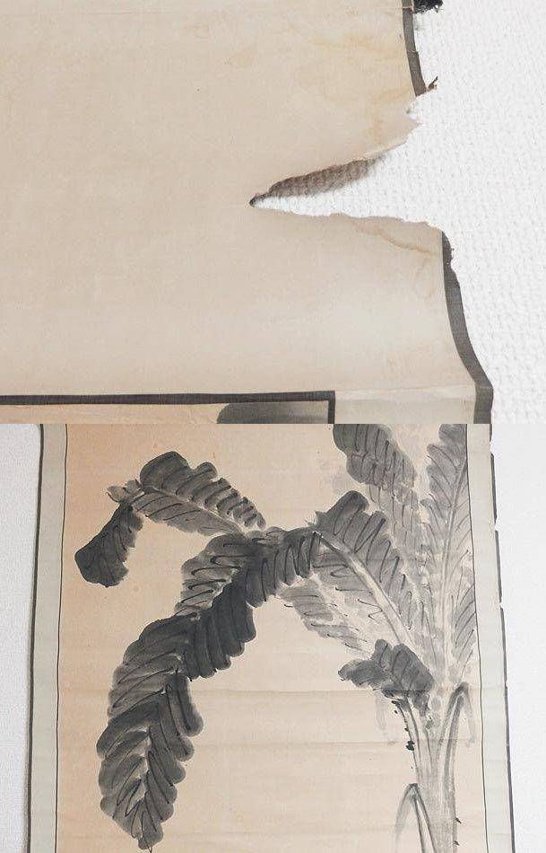 老画,芭蕉图图3