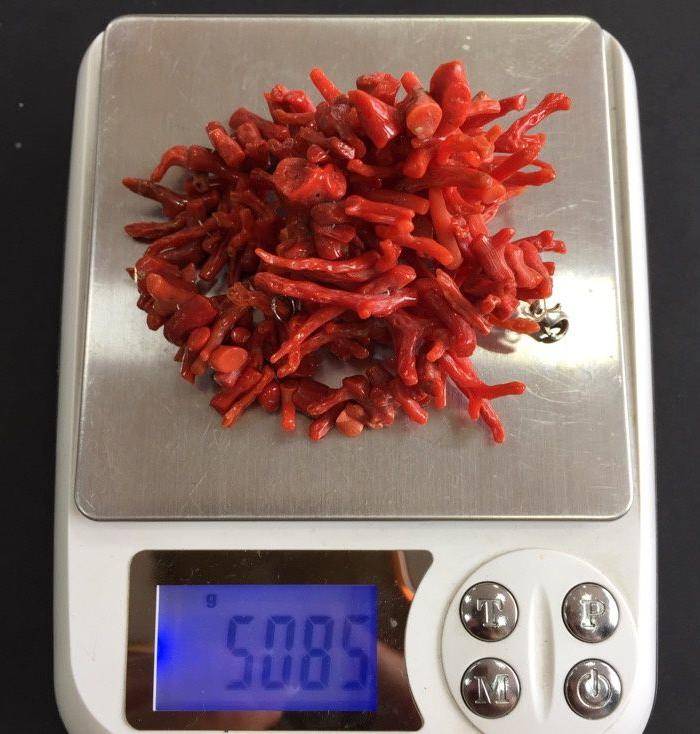 8015欧洲回流随形珊瑚枝毛衣链图8
