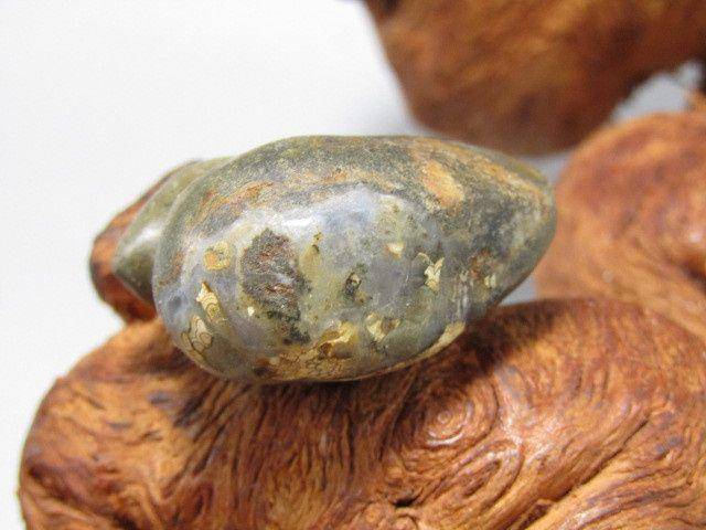 有些年份天然奇石多眼钱币石象形 摆件图8