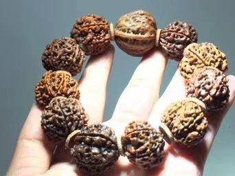 藏传 七瓣大金刚菩提 个头大 纹理好 高僧加持图7
