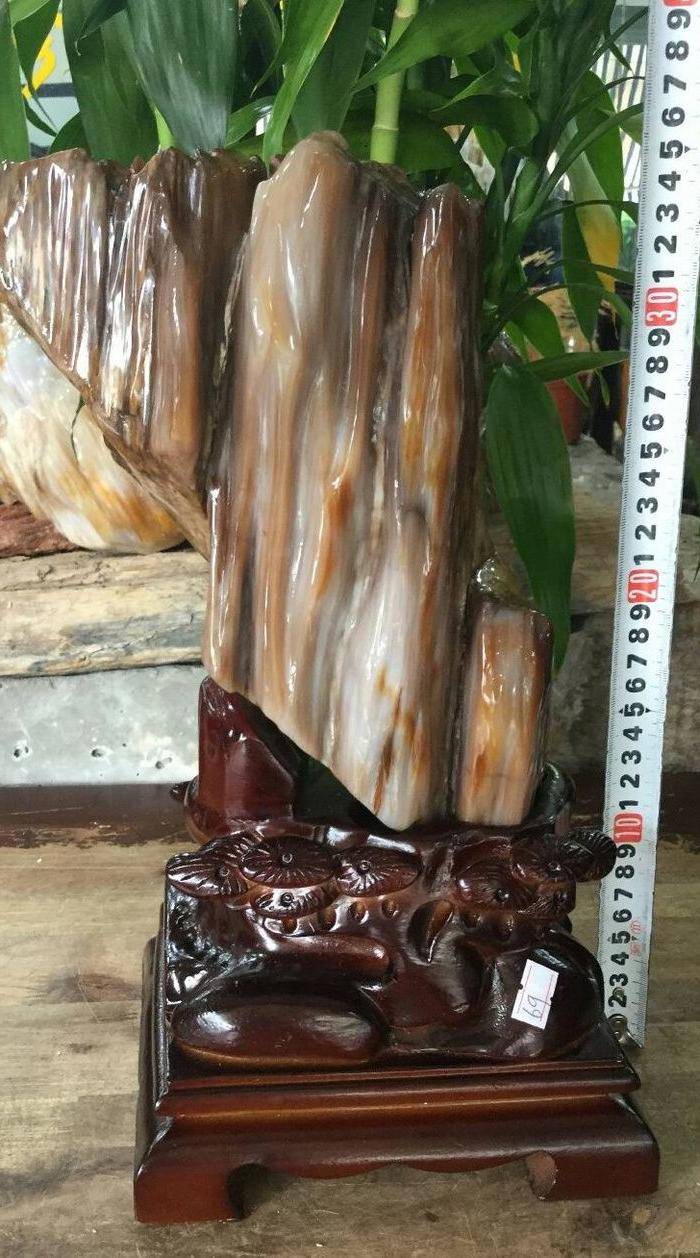 缅甸精品冰种树化玉摆件图5