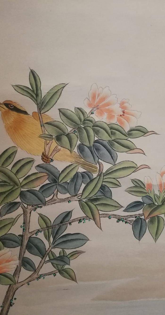 装裱画沈铨花鸟图5