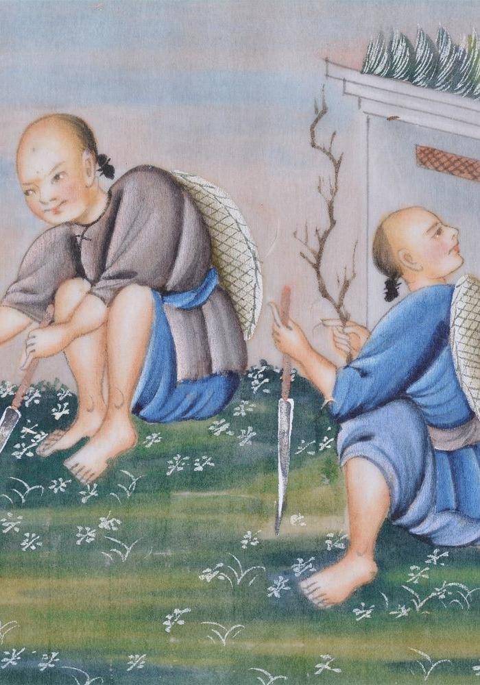 清 农家乐人物 通草画图3