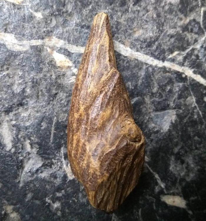 珍贵 越南芽庄虎斑黑油香图2
