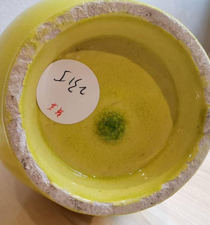 黄釉胆瓶图7