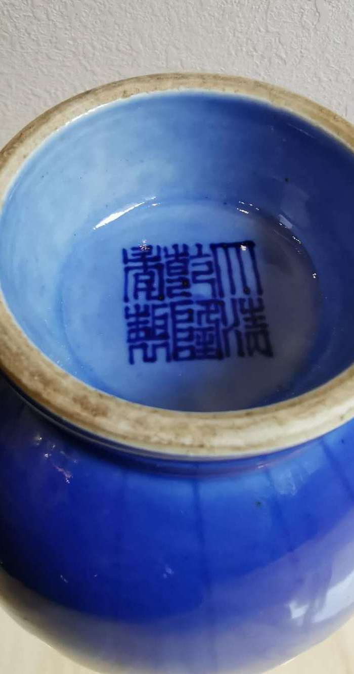 蓝釉盘枝龙菊瓣瓶一对 大清乾隆款图5