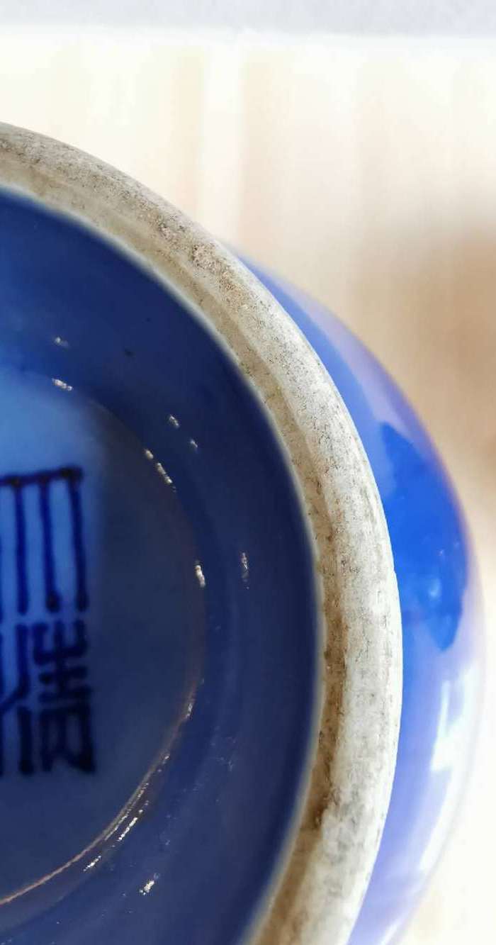 蓝釉盘枝龙菊瓣瓶一对 大清乾隆款图7