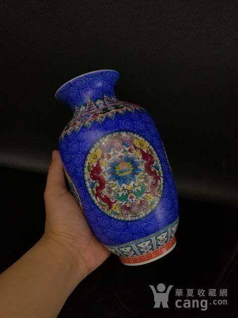 珐琅彩花卉纹瓶图9