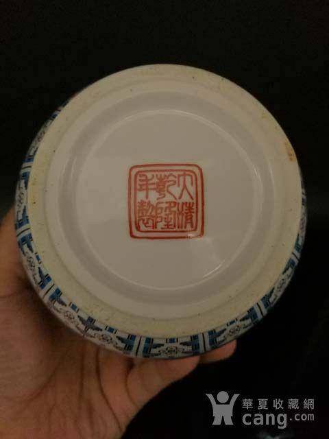 珐琅彩花卉纹瓶图11