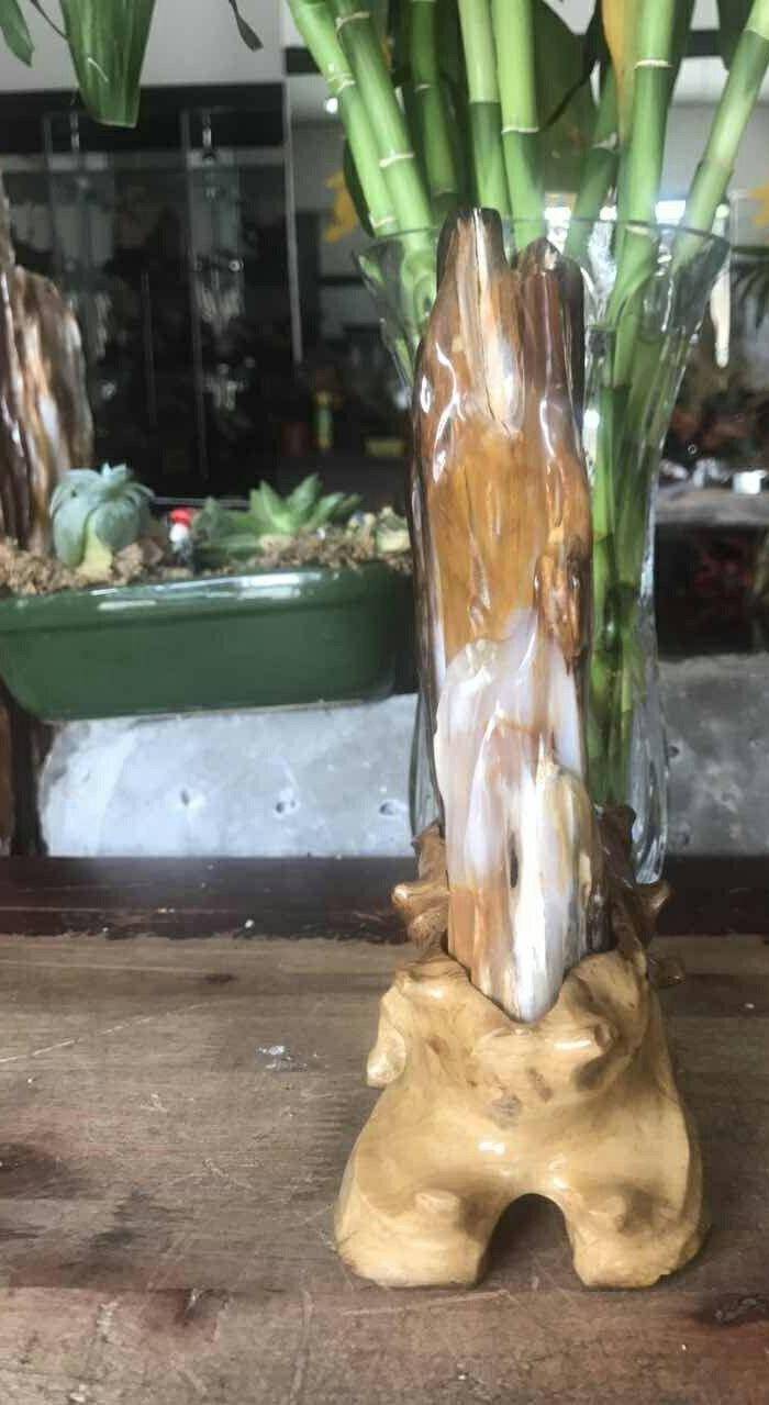 缅甸精品冰种树化玉摆件图2