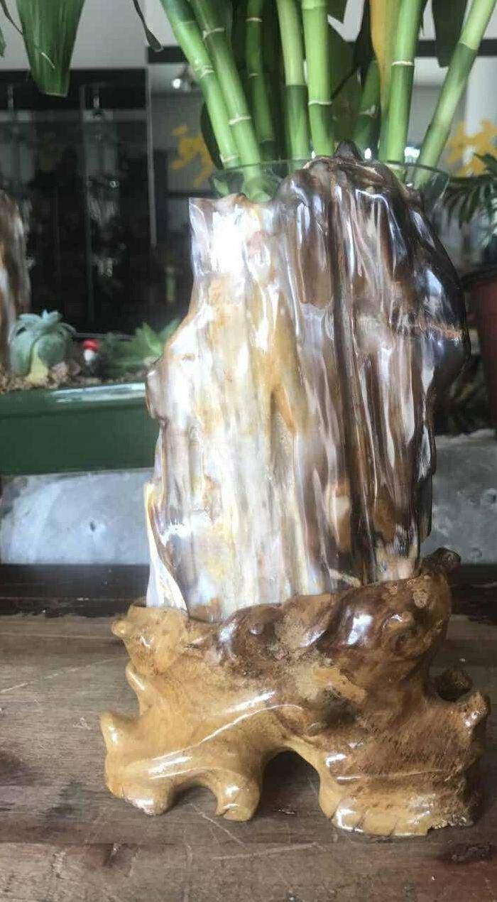 缅甸精品冰种树化玉摆件图3