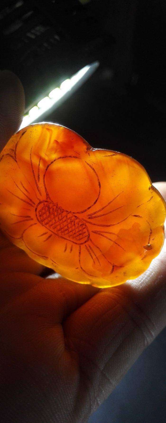 玛瑙花。图5