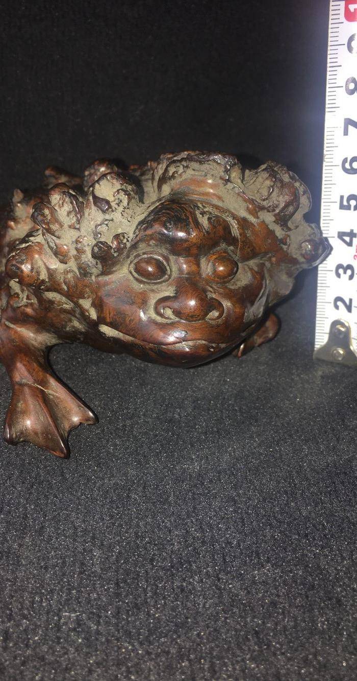 樱木金蟾图7