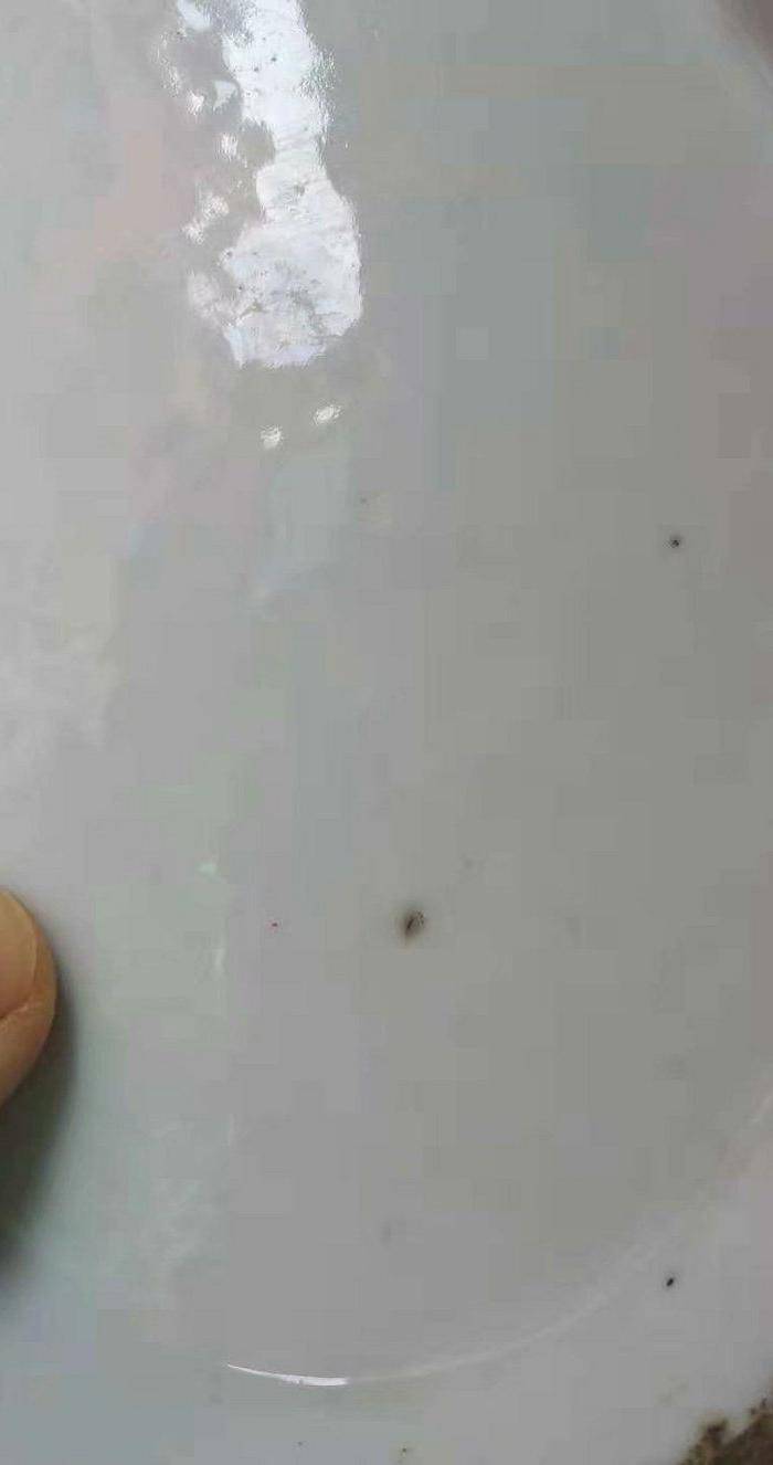 清 同光粉彩人物 月老牵红线 大供盘图7