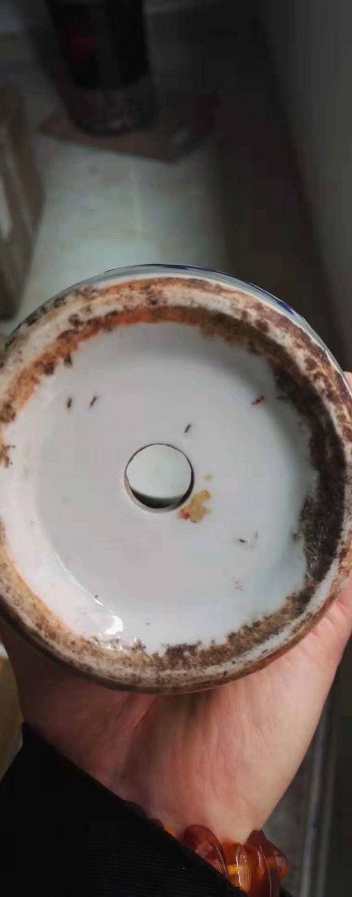 清中高加白博古花卉瓶图5
