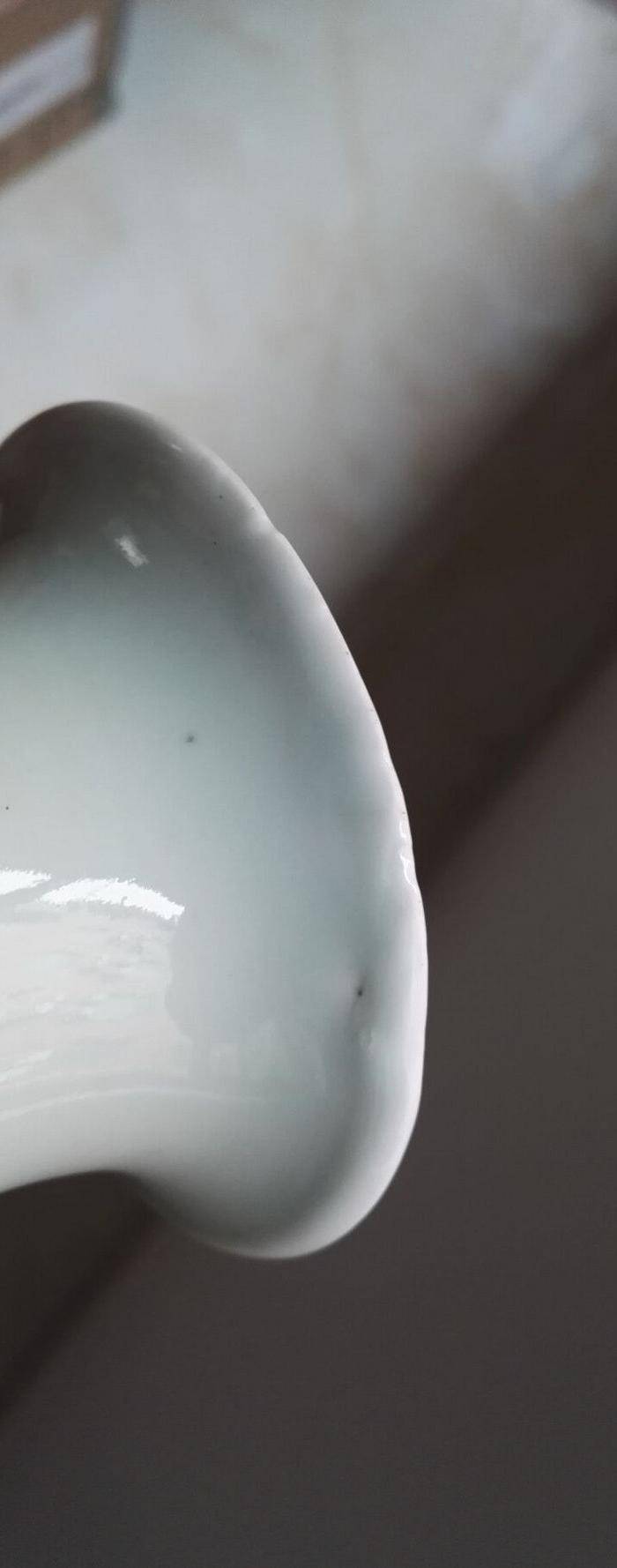 清中高加白博古花卉瓶图10