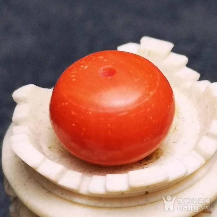 欧洲回流极品莫莫珊瑚10mm算盘珠图5
