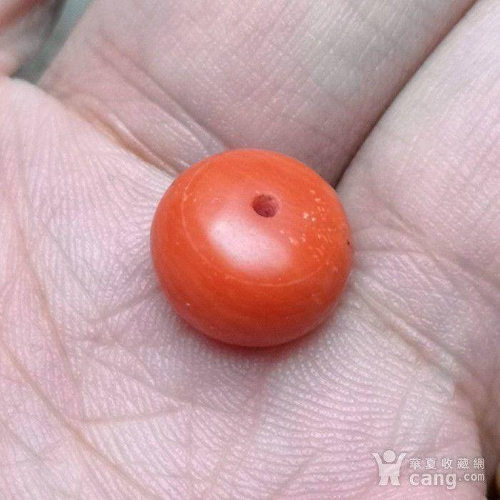 欧洲回流极品莫莫珊瑚10mm算盘珠图4