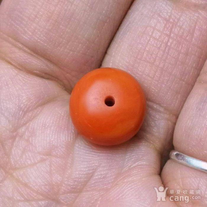 欧洲回流极品莫莫珊瑚10mm算盘珠 2图5