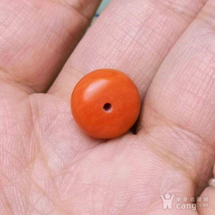 欧洲回流极品莫莫珊瑚10mm算盘珠 2图4